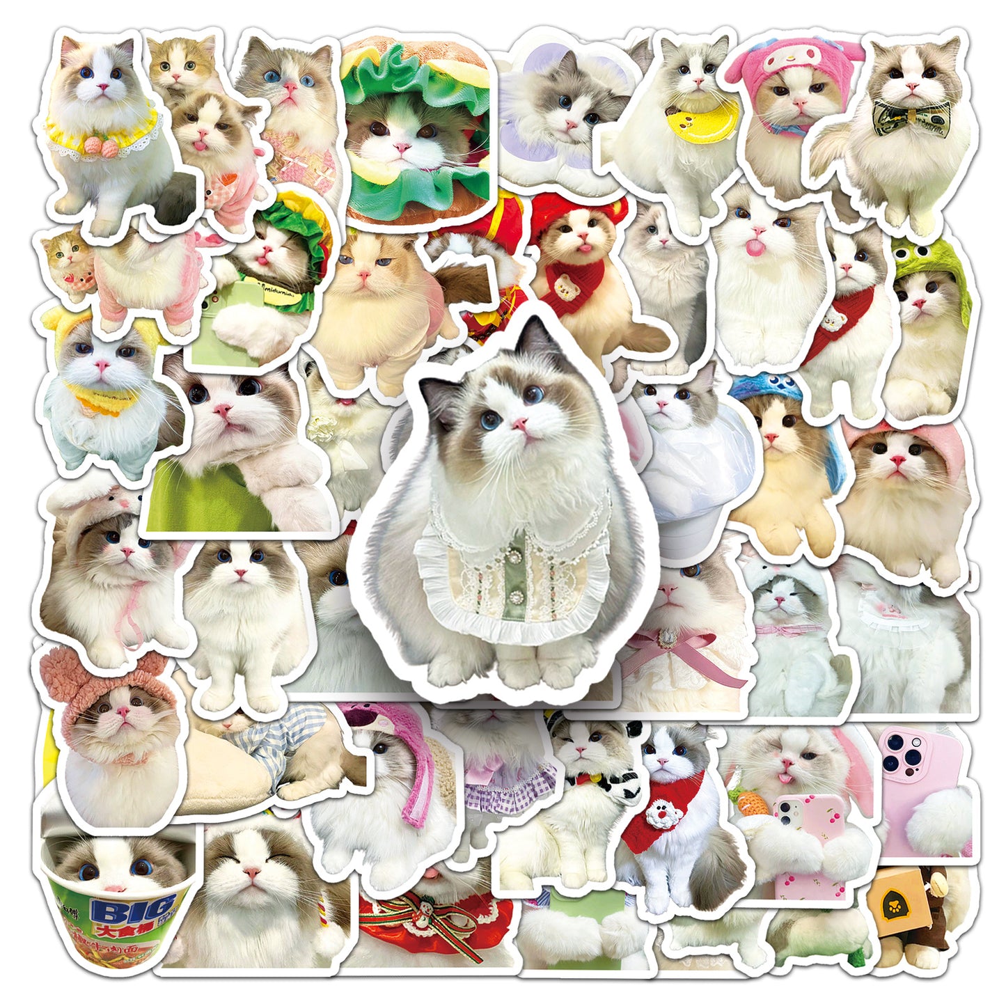 Ragdoll Cat Sticker Pack (50 pcs)
