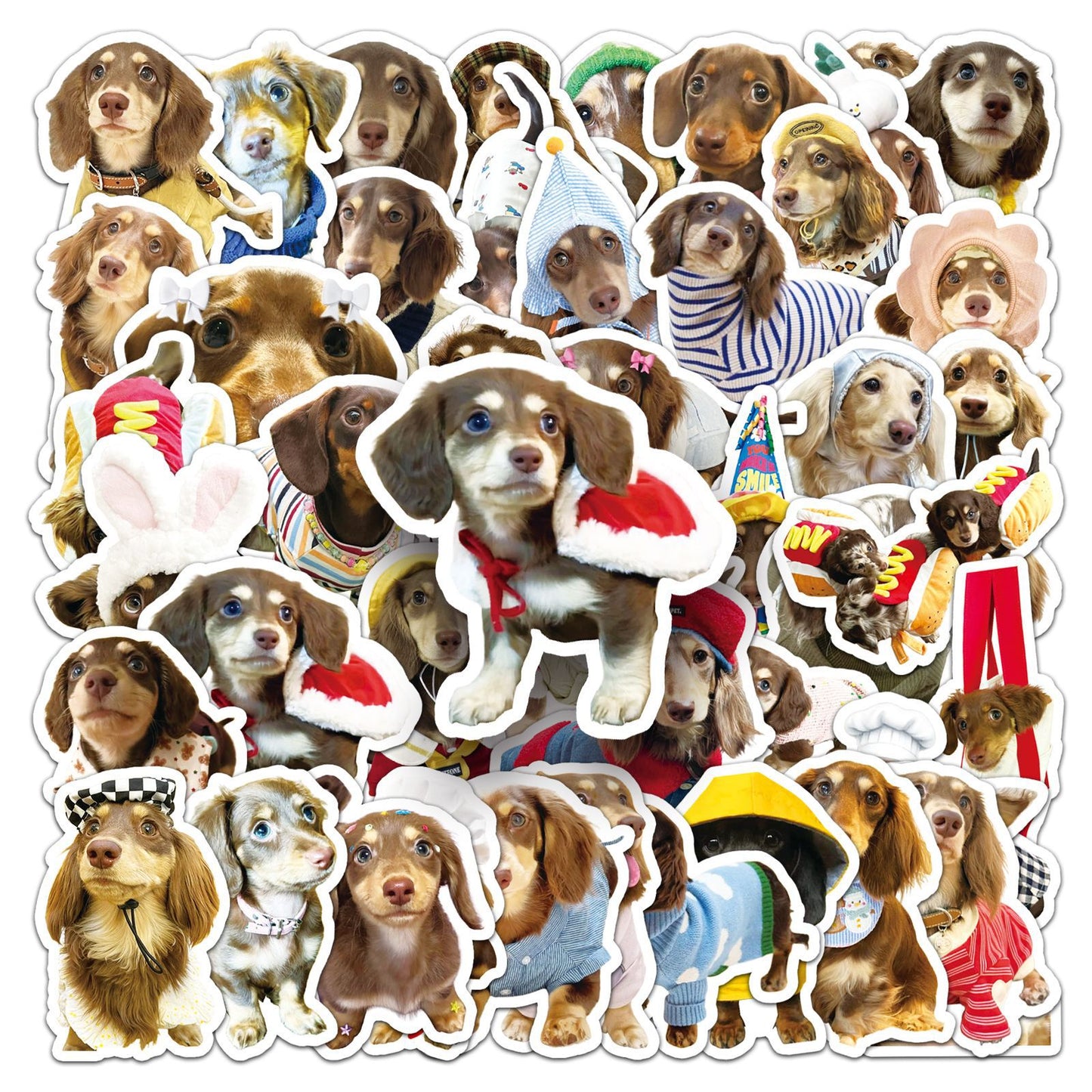 Dachshund Sticker Pack (50 pcs)